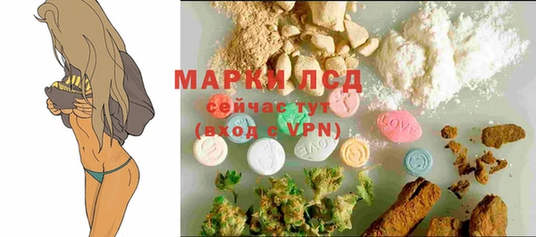 spice Алексеевка