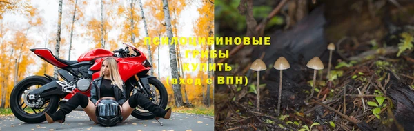 spice Алексеевка