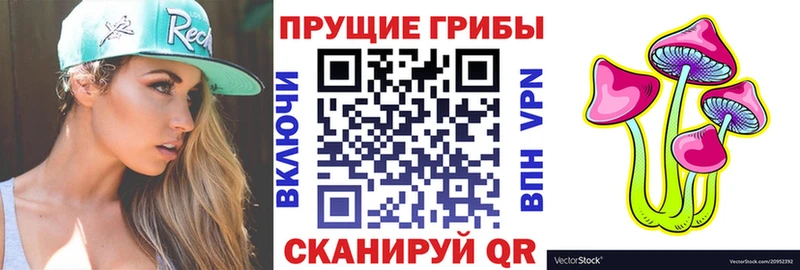 закладка Чистополь KRAKEN как войти Псилоцибиновые грибы Cubensis